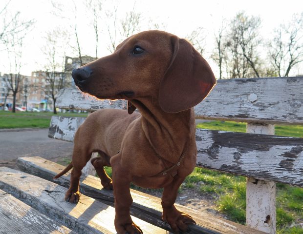 July 2020 Financial Advice from MORE Real Estate and Brian Bunn