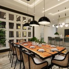 houseplants for beginners home staging