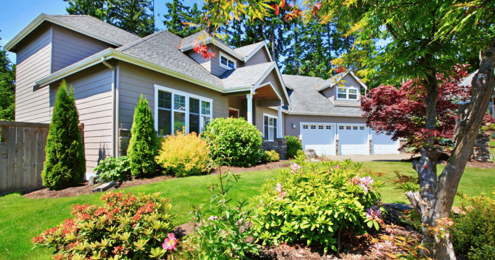 Feature-Image-Template-25